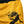 Dragon's Shorts